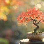 Le guide complet du bonsaï érable du Japon : conseils, astuces et inspiration bonzai errable japon (3)