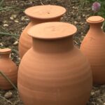 Les Oyas en Terre Cuite : Tout Savoir sur cette Technique d’Irrigation Écologique oyas