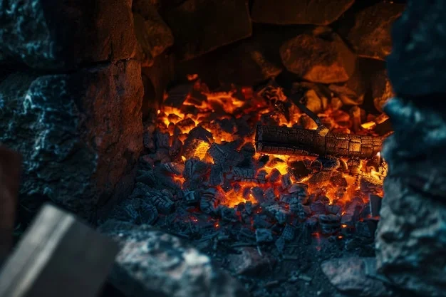 Bûches de bois sur lit de braises dans un poêle à bois moderne en fonctionnement
