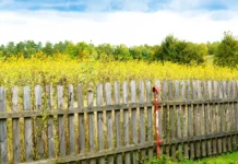 7 erreurs qui condamnent votre bordure de jardin en bois avant 2 ans