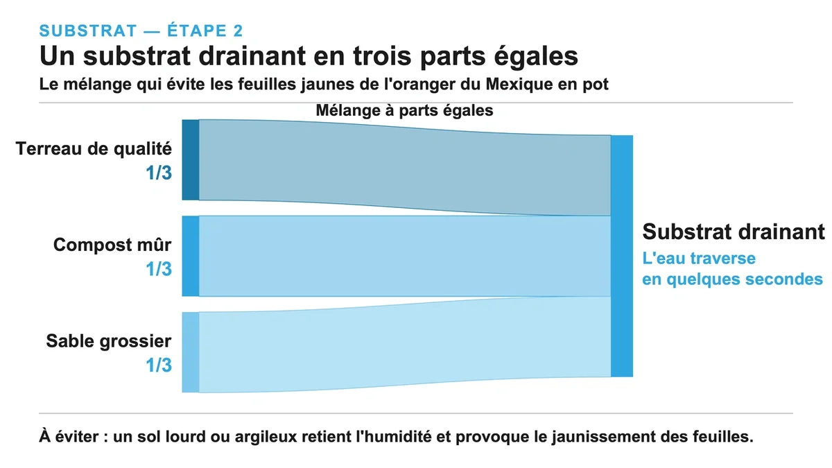 Mélange de terreau, compost et sable grossier pour un substrat optimal pour l'oranger du Mexique