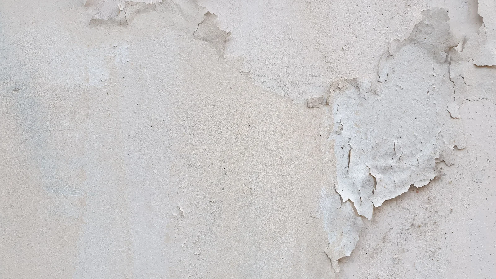 Peinture qui se décolle en plaques sur un mur intérieur clair marqué par l'humidité