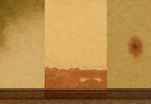 Peinture anti-humidité : utile sur un mur sur trois, nuisible sur les deux autres