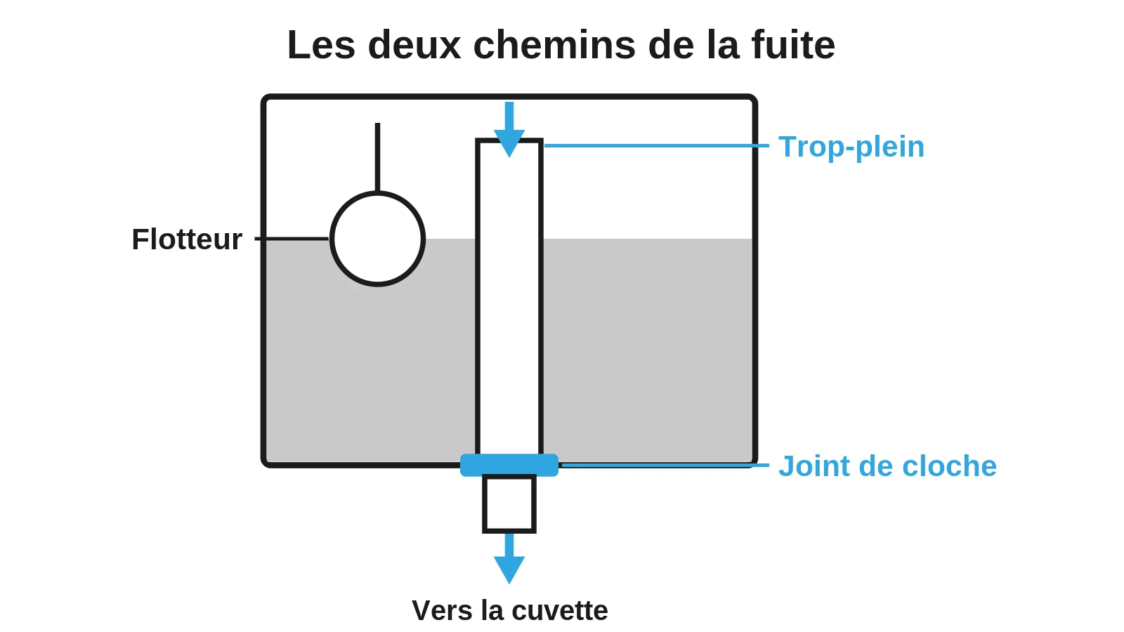Coupe d'un réservoir de chasse d'eau : le flotteur, la fuite par le trop-plein et la fuite par le joint de cloche vers la cuvette